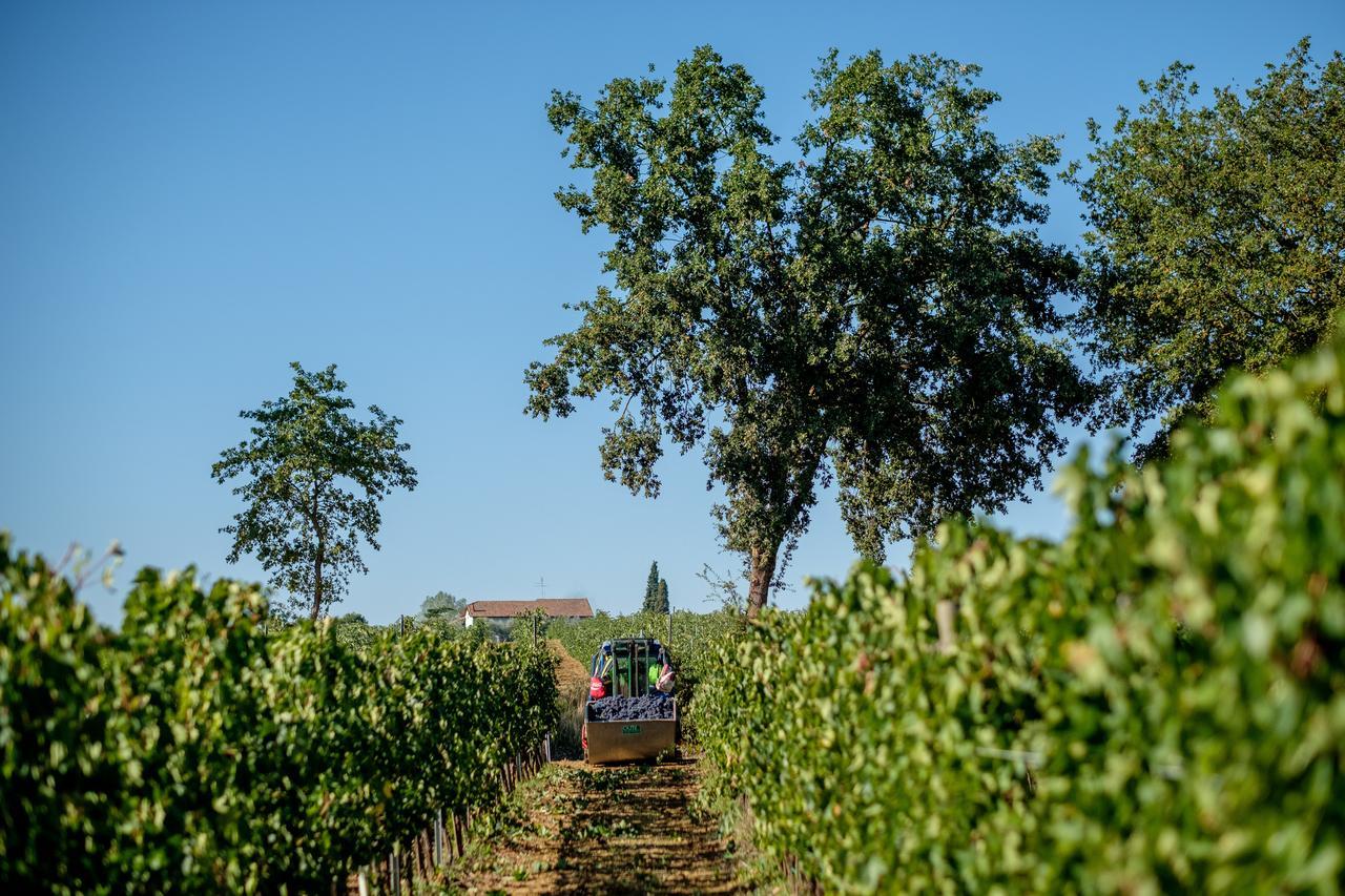 Agriturismo Podere La Rocca Abbadia di Montepulciano Exterior foto